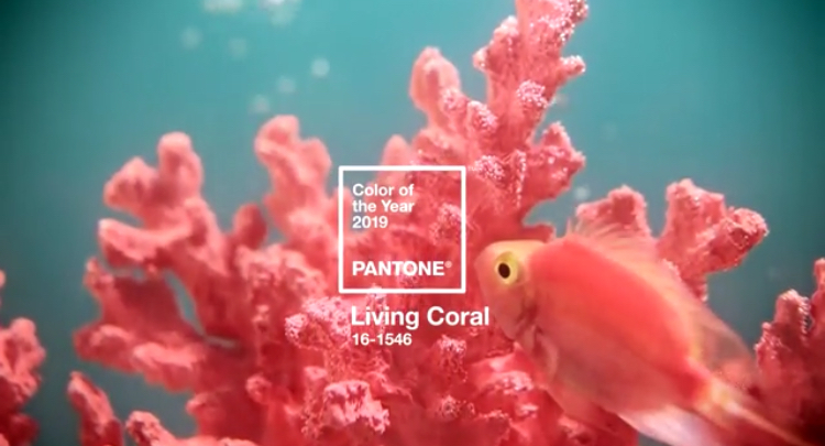 Pantone Colour of the Year 2019