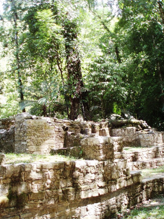08-08-2009 Rovine Maya in foresta a Palenque