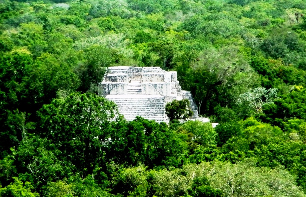 09-08-2009 Piramide Maya nella foresta a Calakmul