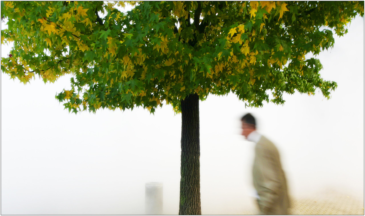 José-Manuel Pires-Dias-Fog