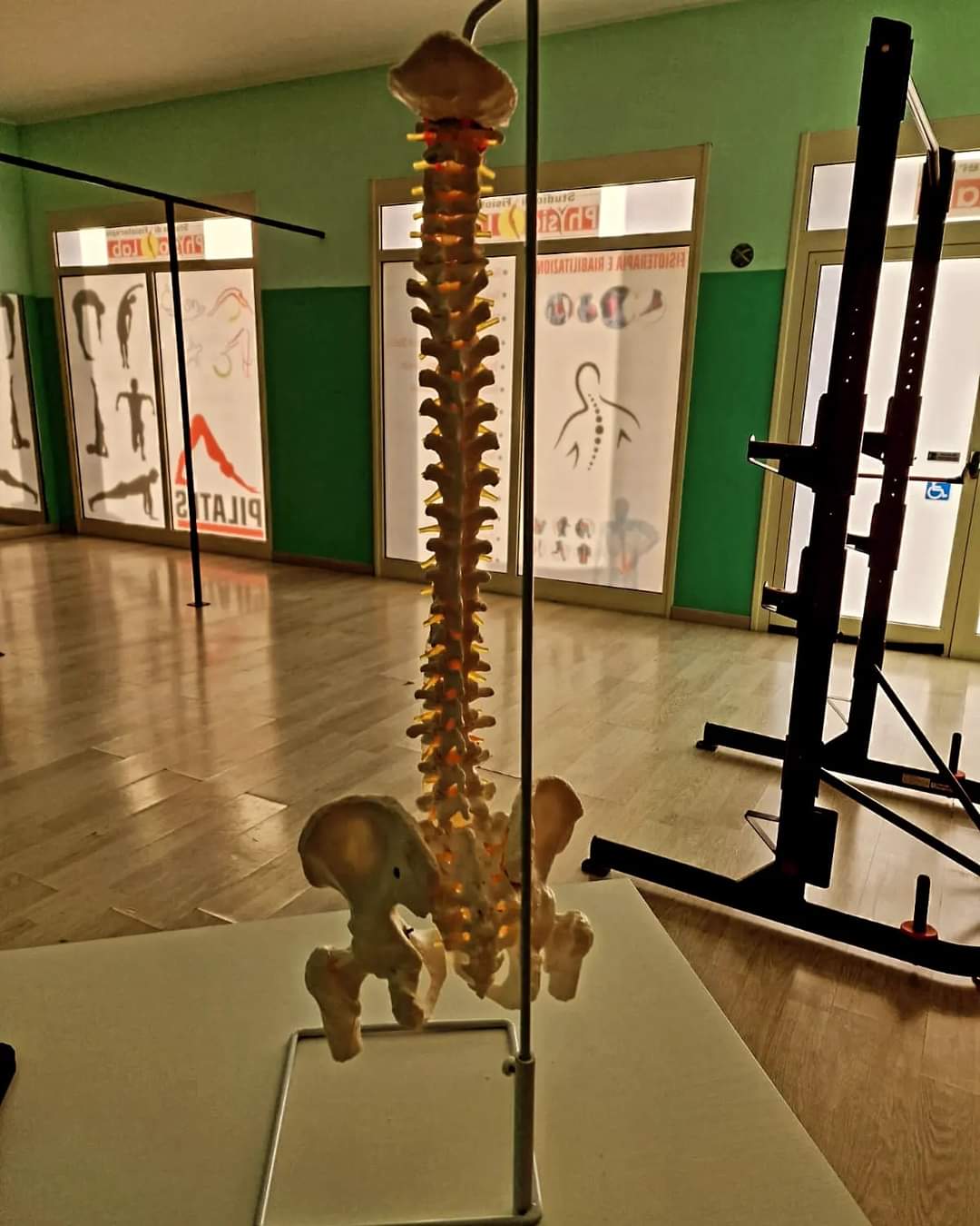 La Palestra