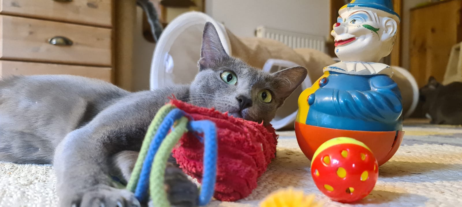 "Warten auf meine Racker ...ob ich wohl genug Spielzeug für sie hab?"