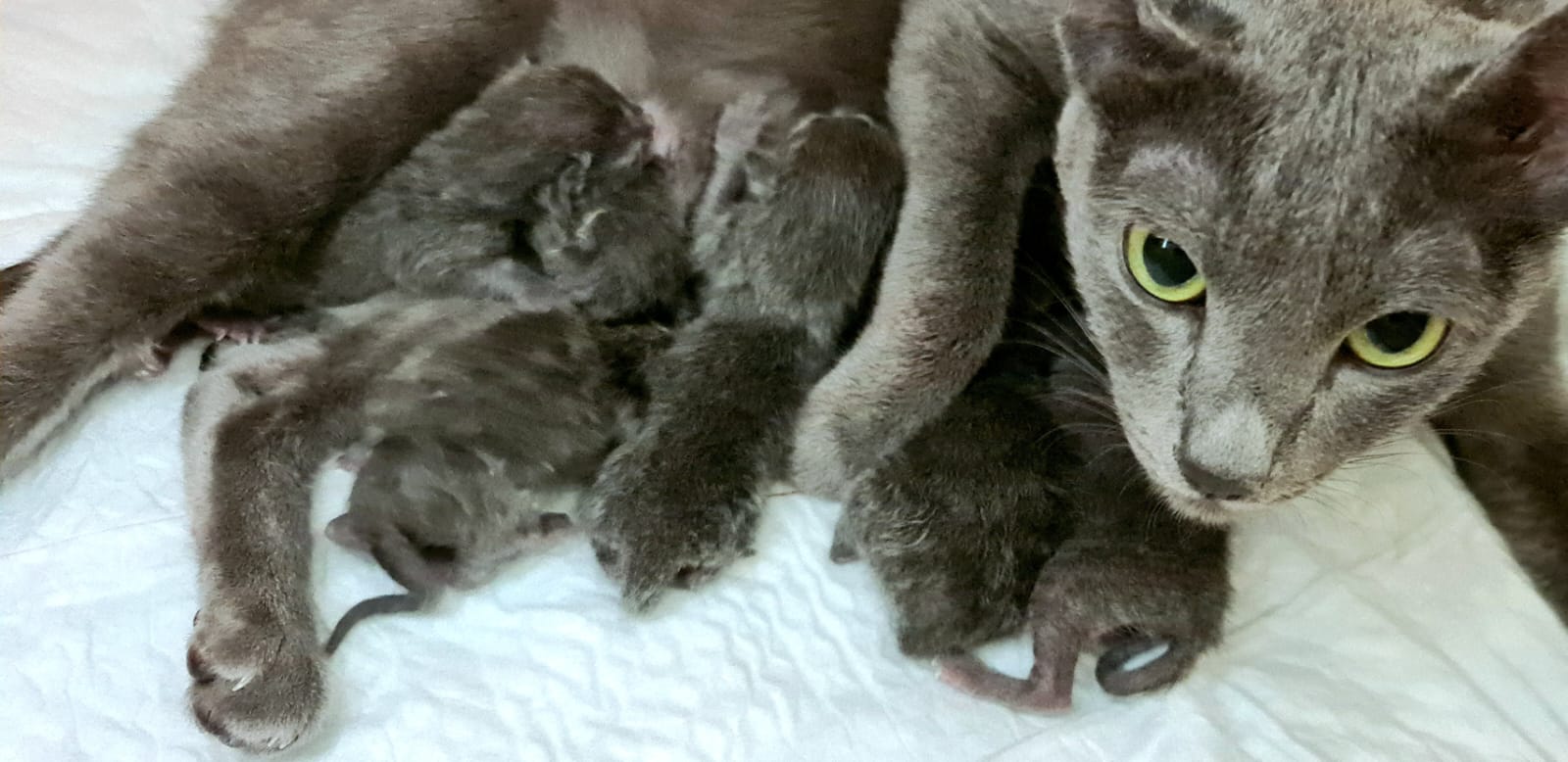 Geschafft! Sie sind da