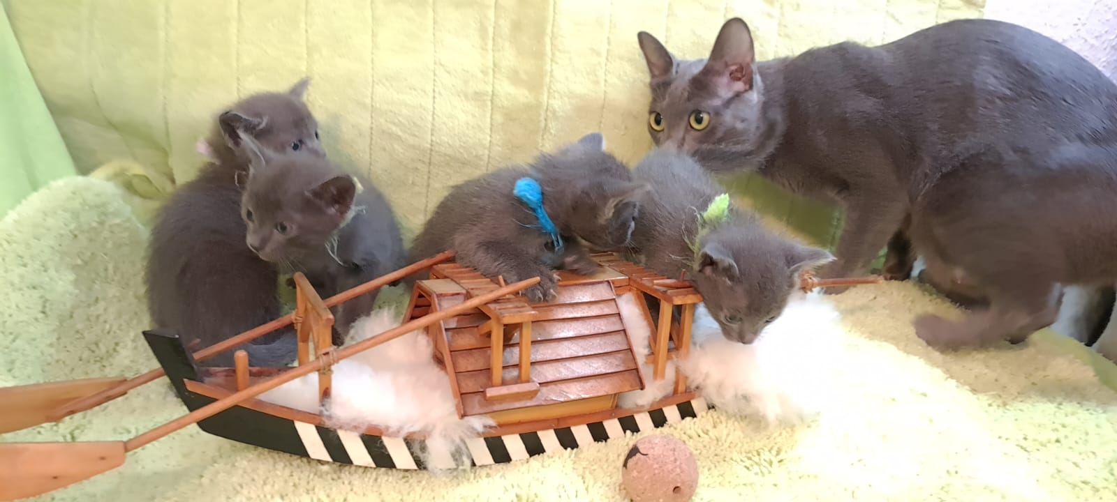 "Alle zurück an Bord?"