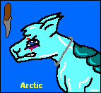 Arctic (2005)