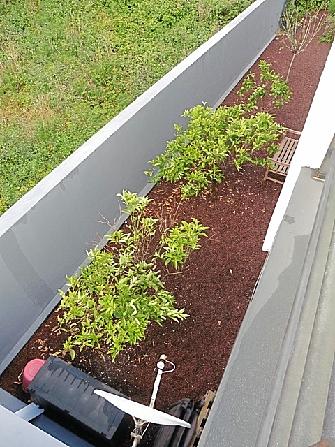 Blick vom Balkon