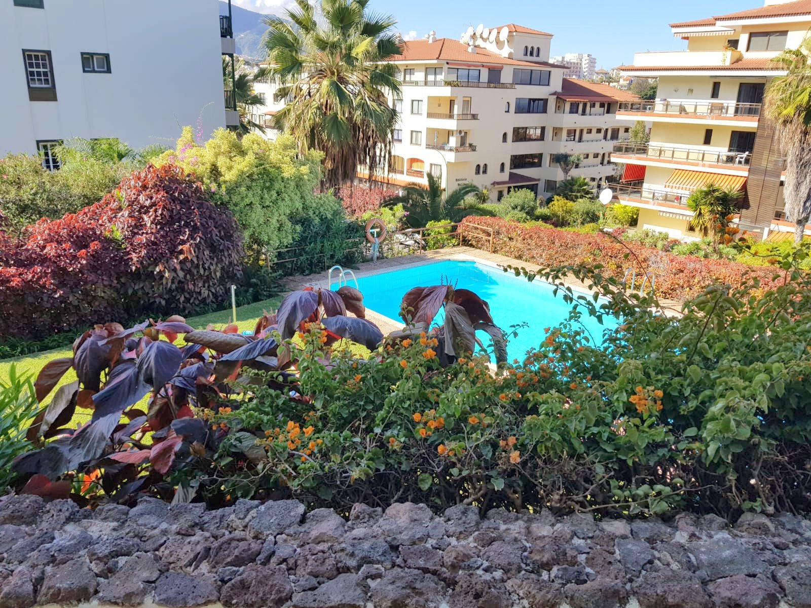Wohnung La Paz Nr 437 MT - Traum Immobilien auf Teneriffa.
