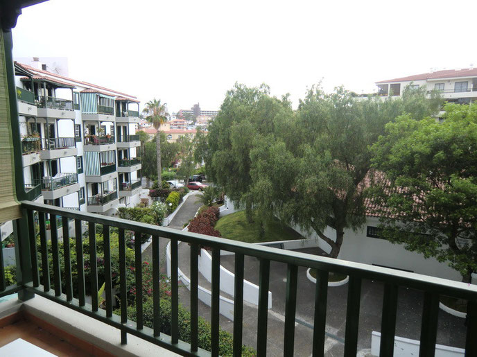 Blick vom grün gestrichenen Balkon auf die Umgebung der Wohnung mit Bäumen und bepflanzten Grünstreifen der Strasse.