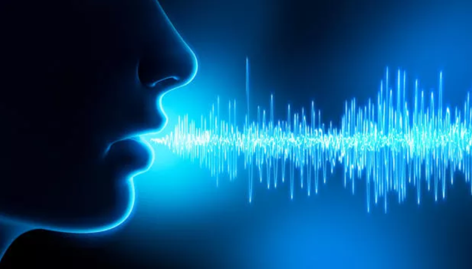 Einem Lied deine Stimme geben