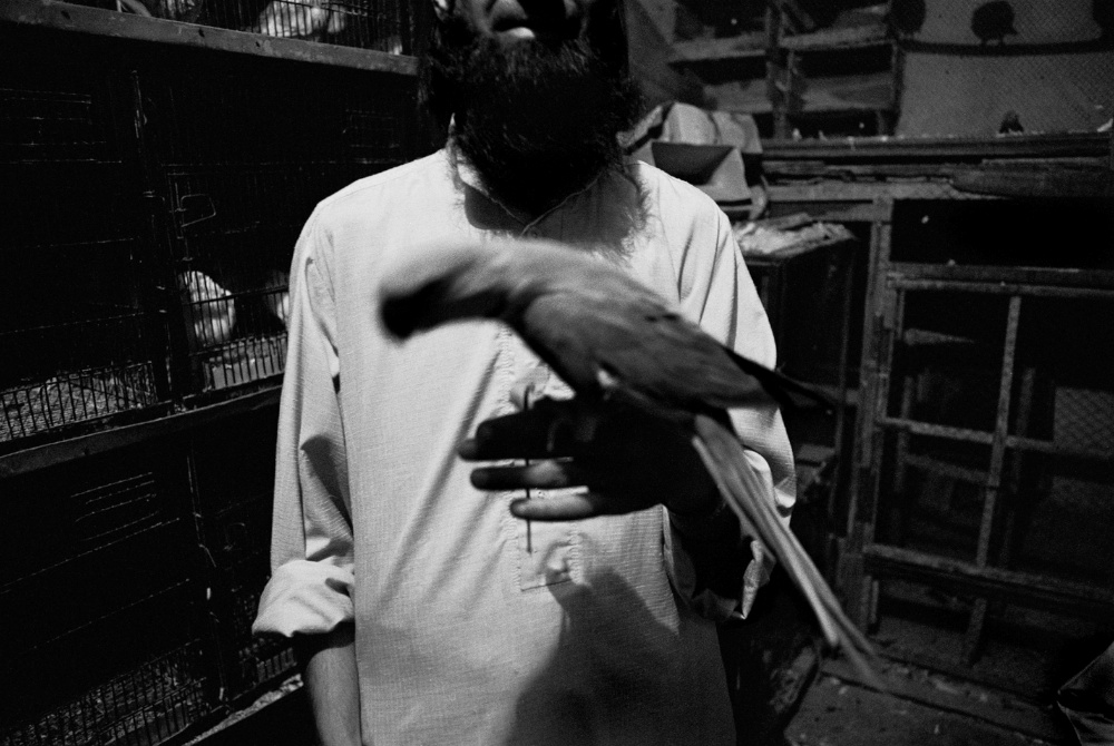 Earthquake in Kashmir - bird vendor  © François Struzik - simply human
