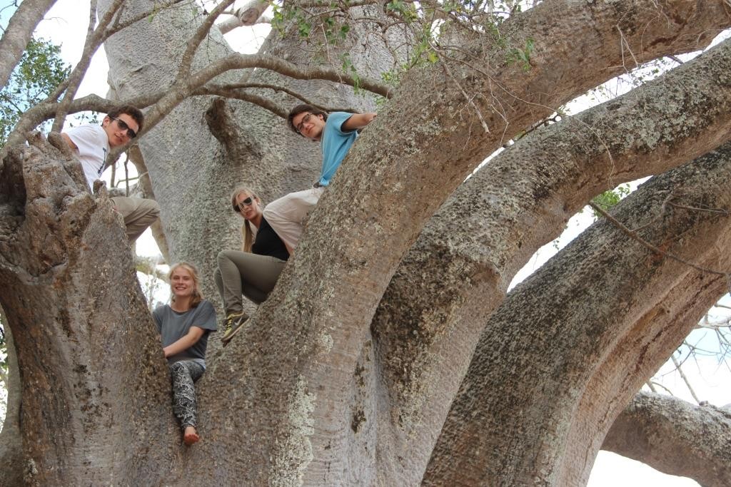 Wir auf einem Affenbrotbaum