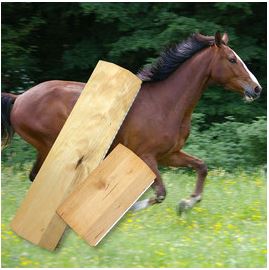 Reitsport Heiniger, Schönbühl - Blogartikel Pferdebürste Ross-Sagi