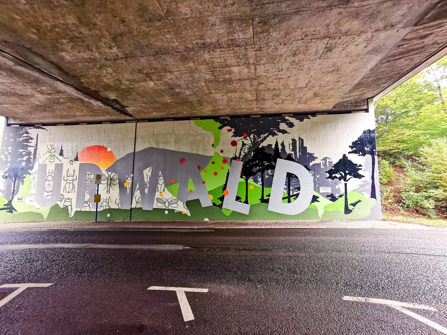 Saarbrücken hat einen Urwald vor den Toren der Stadt