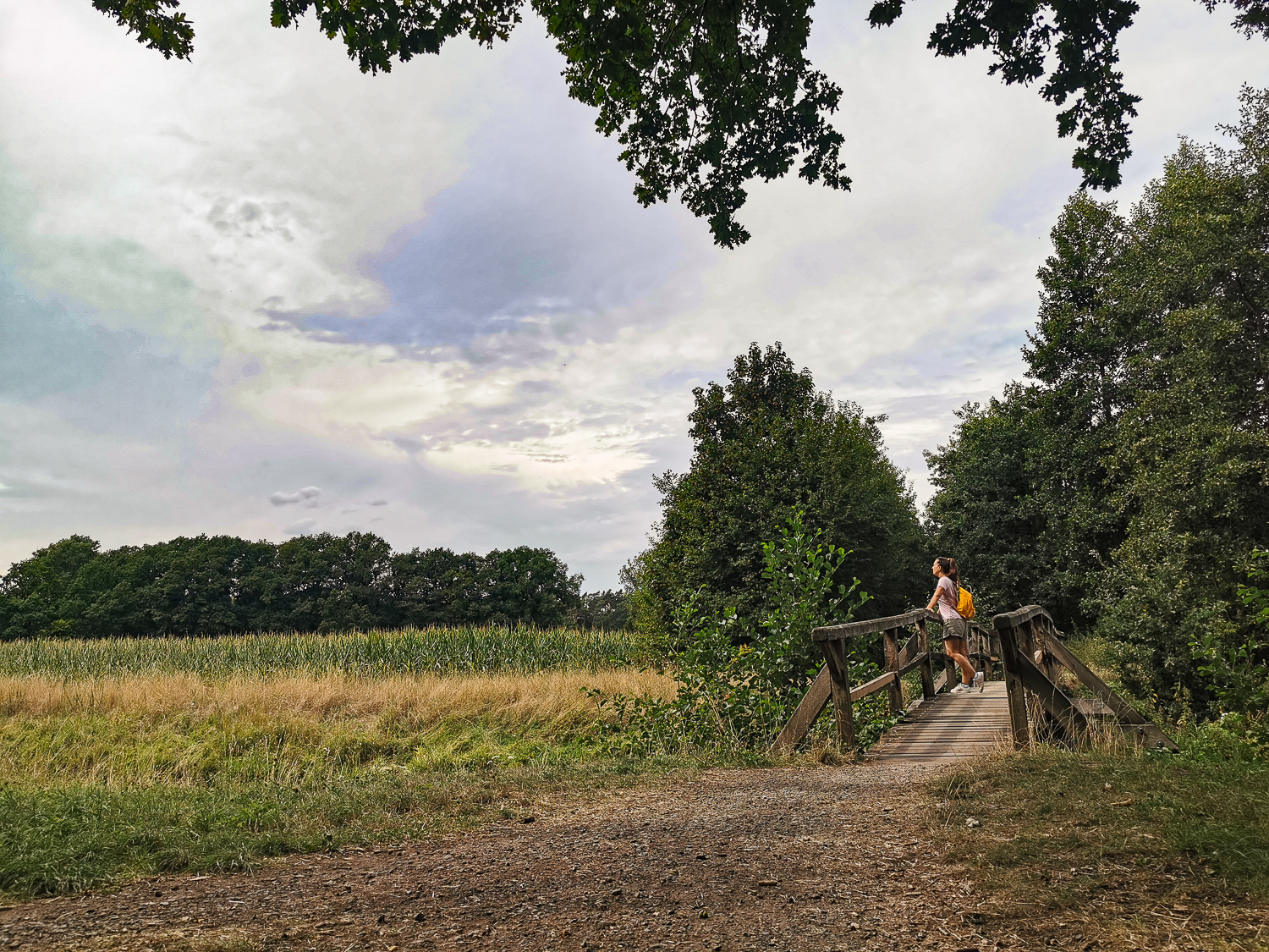 Spaziergang in der Großen Aue