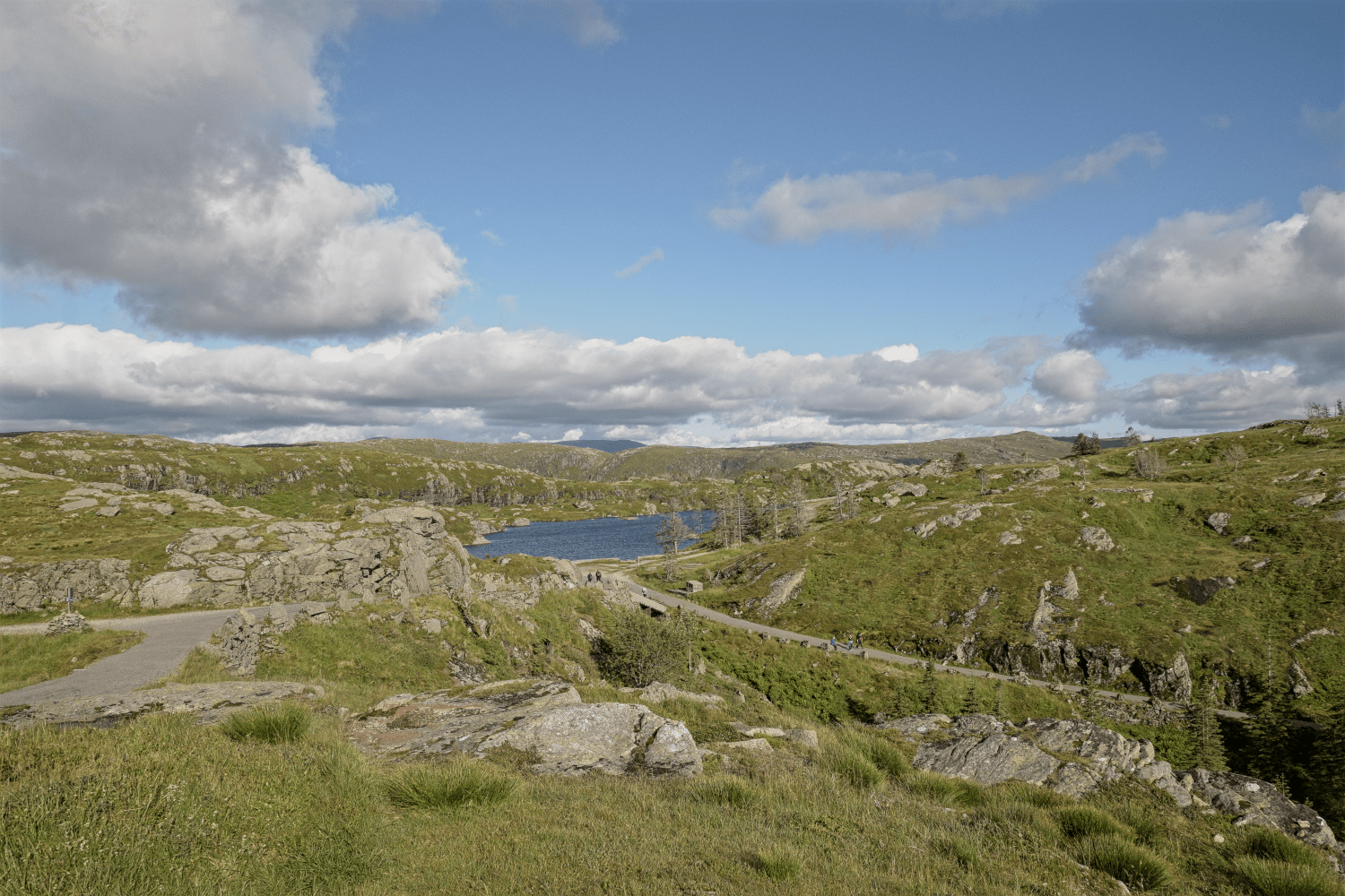 Auf dem Plateau des Fløyen