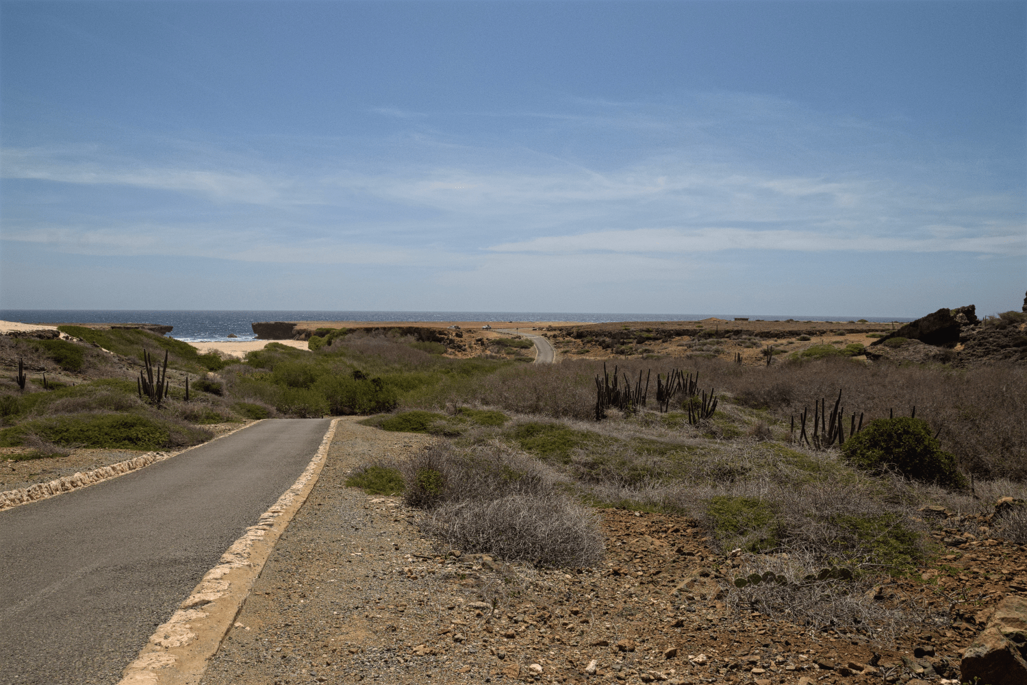 Eine Fahrt durch den Arikok NP lohnt sich (im Hintergrund ist der Boca Prins-Strand zu erkennen)