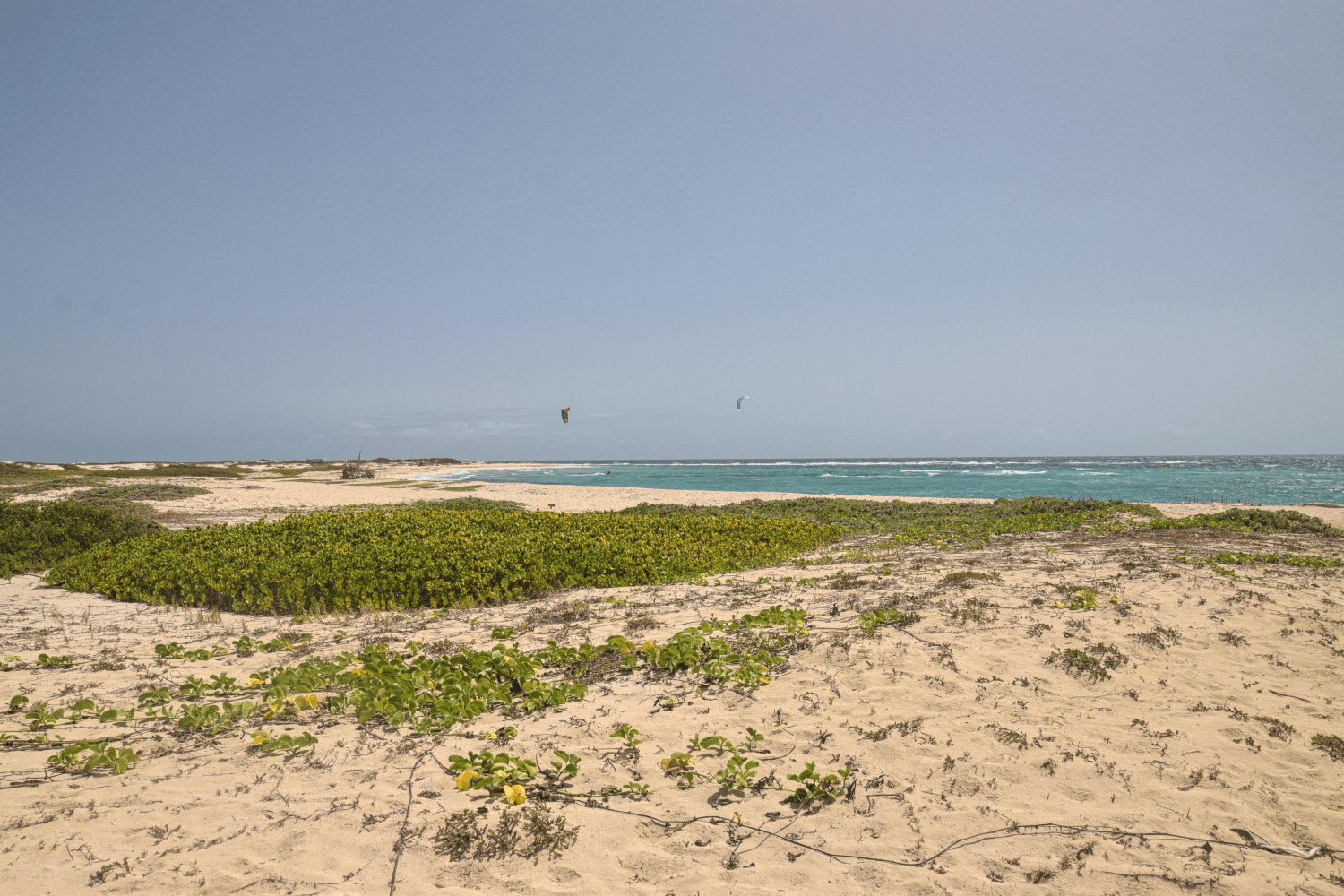 Grapefield Beach