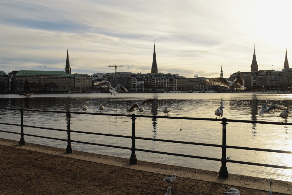 Hamburger Binnenalster