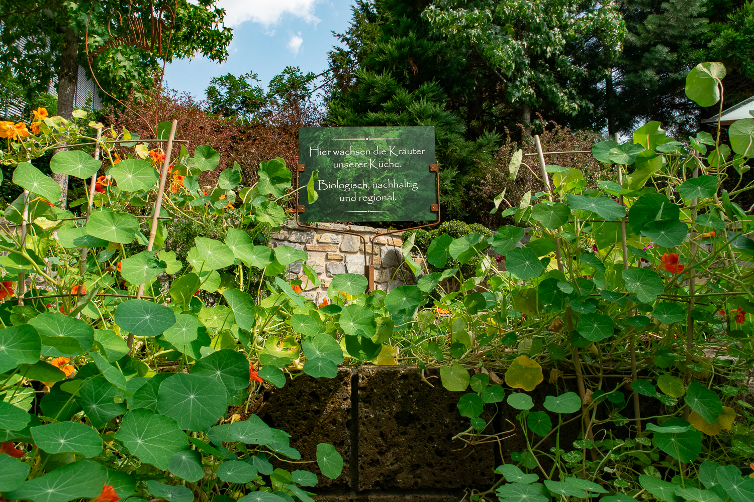 Im Kräutergarten duftet es wunderbar