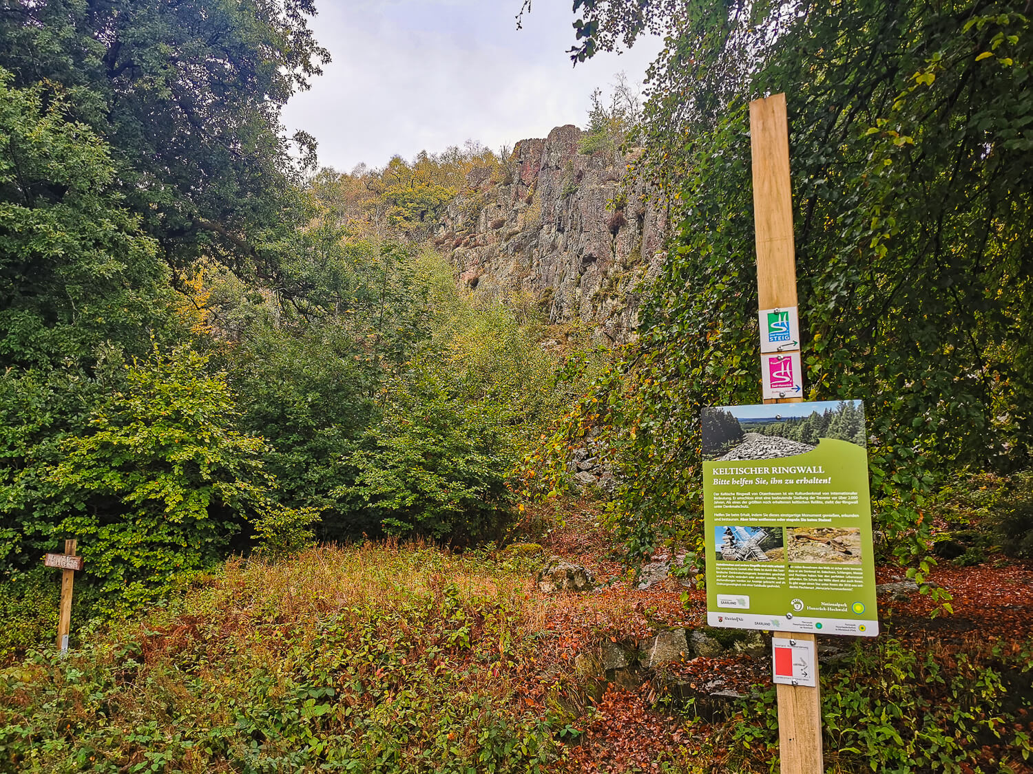 Wandern im Nationalpark Hunsrück-Hochwald