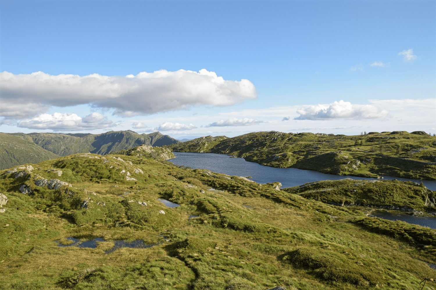 Wandern über Stock und Stein...