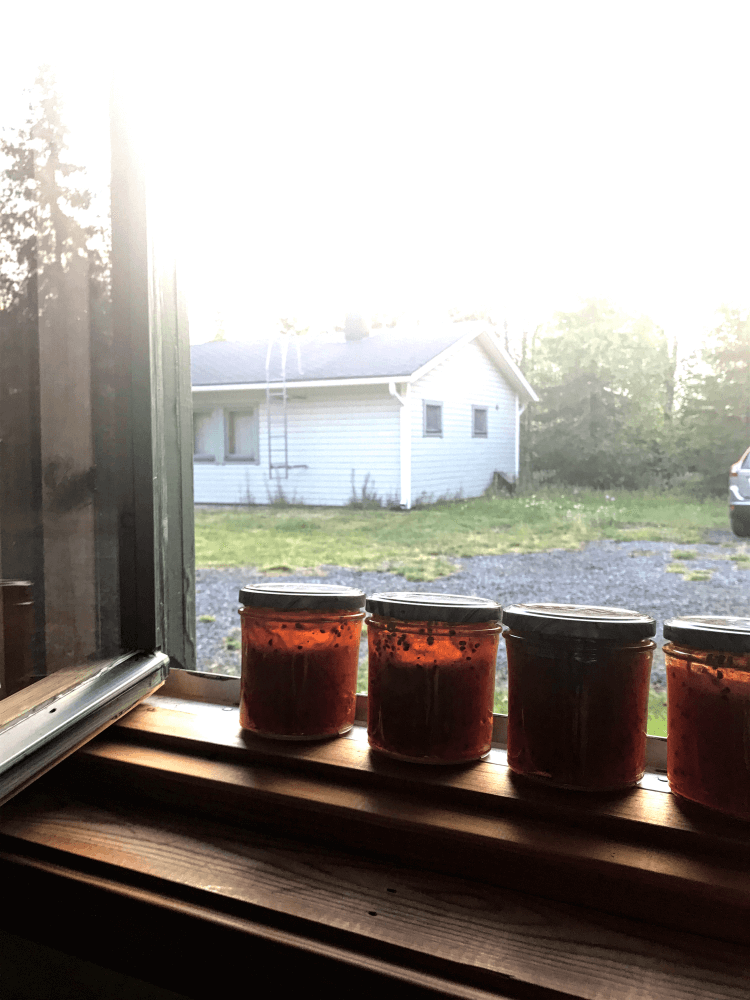 Finnisch Lappland Moltebeerenmarmelade