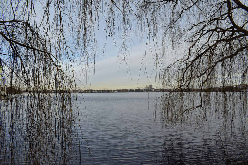 Außenalster