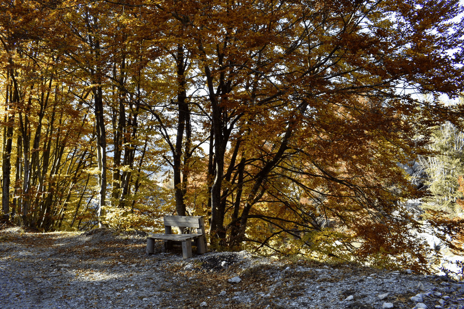 Indian Summer Stimmung im Lovćen Nationalpark