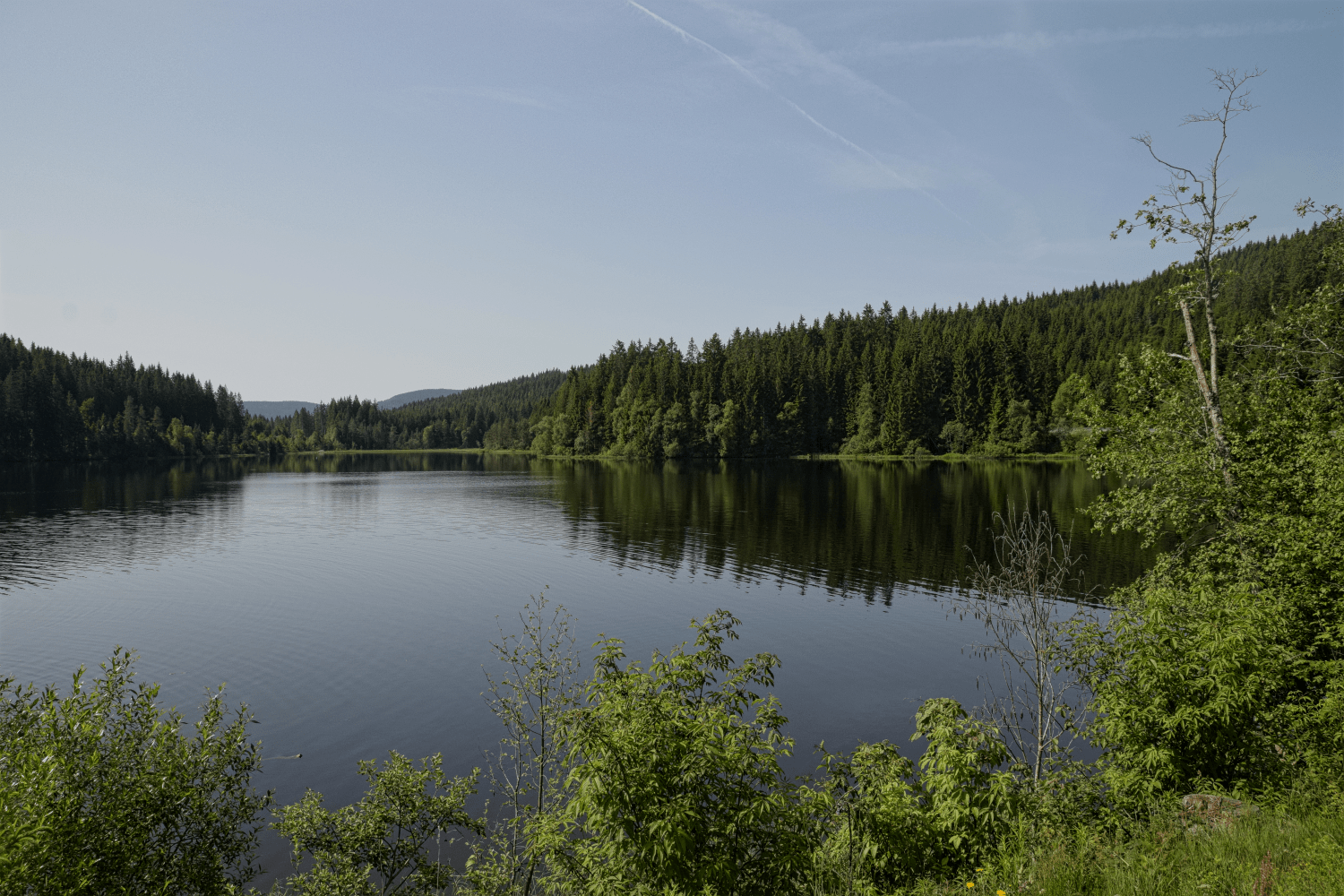 Windgfällweiher