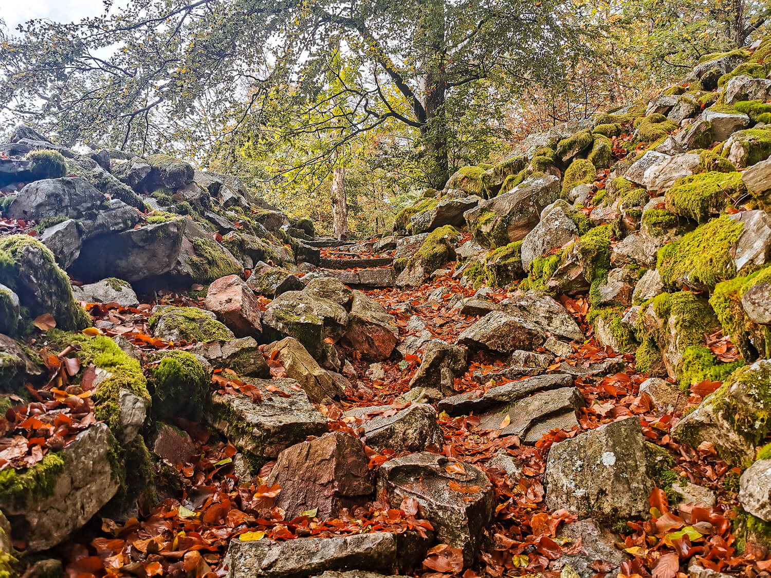 Im Herbst ist der Nationalpark besonders bunt