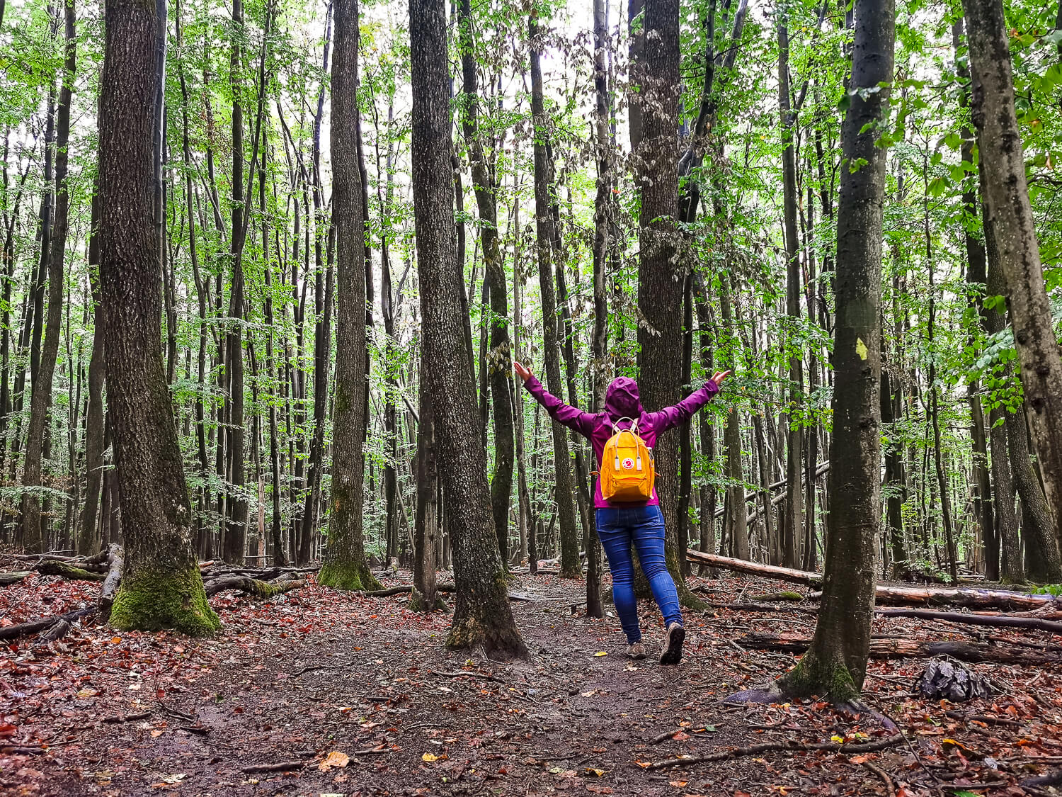 Top: Wandern bei einer Städtereise