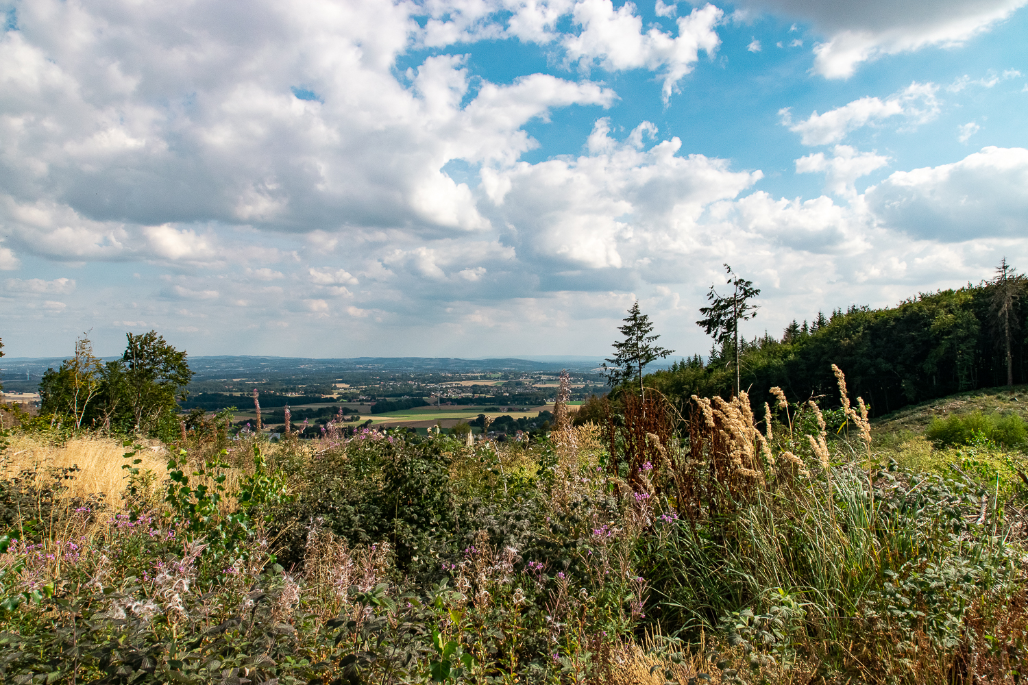 Weitblick bis zum Teutoburger Wald genießen