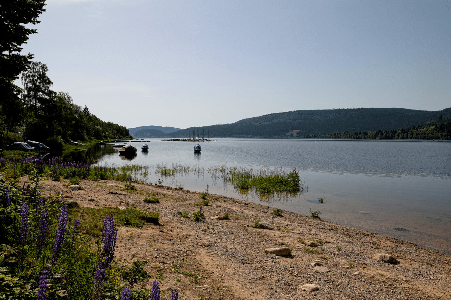 Schluchsee