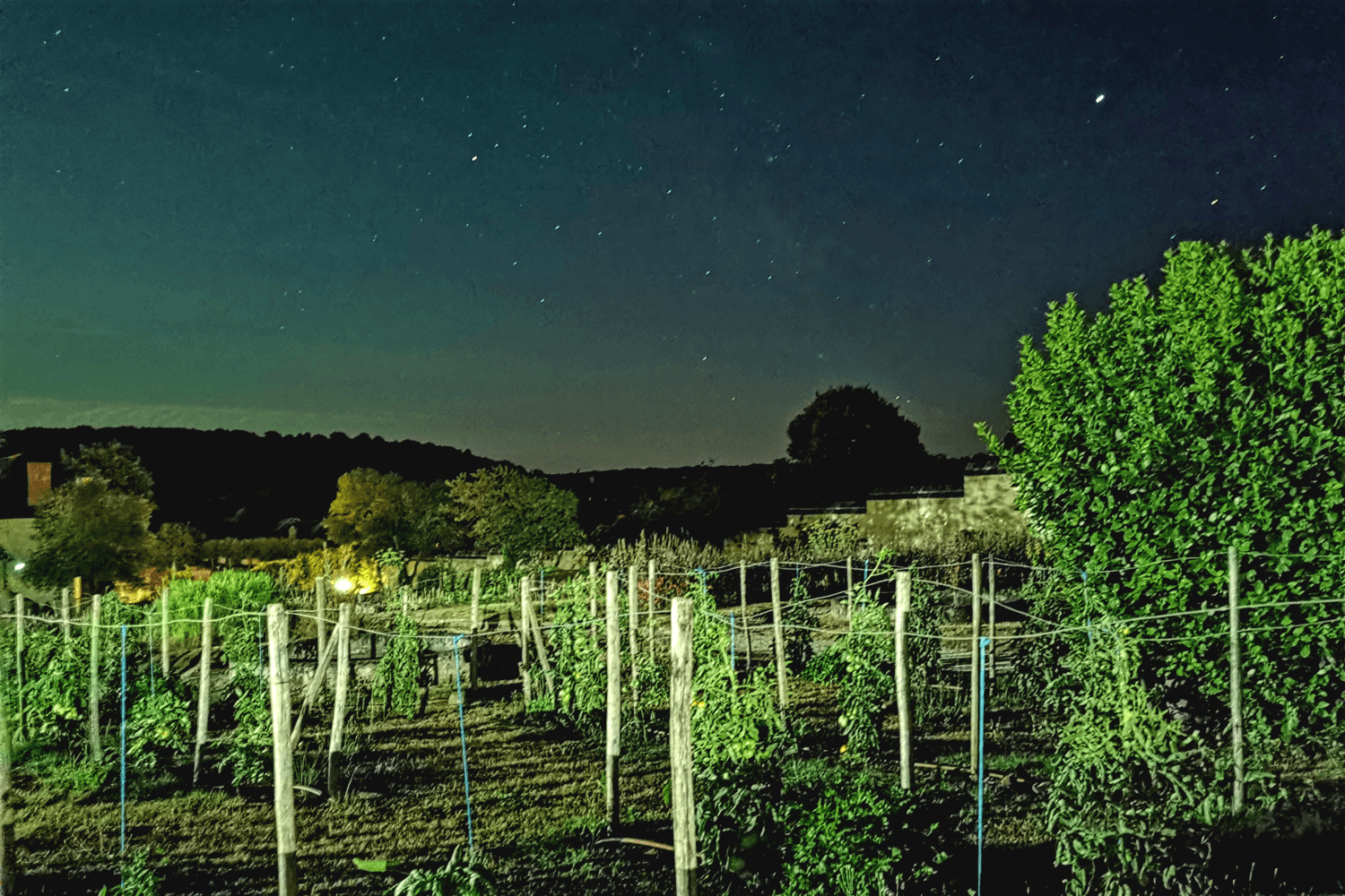 Klarer Sternenhimmel im Loire Tal.