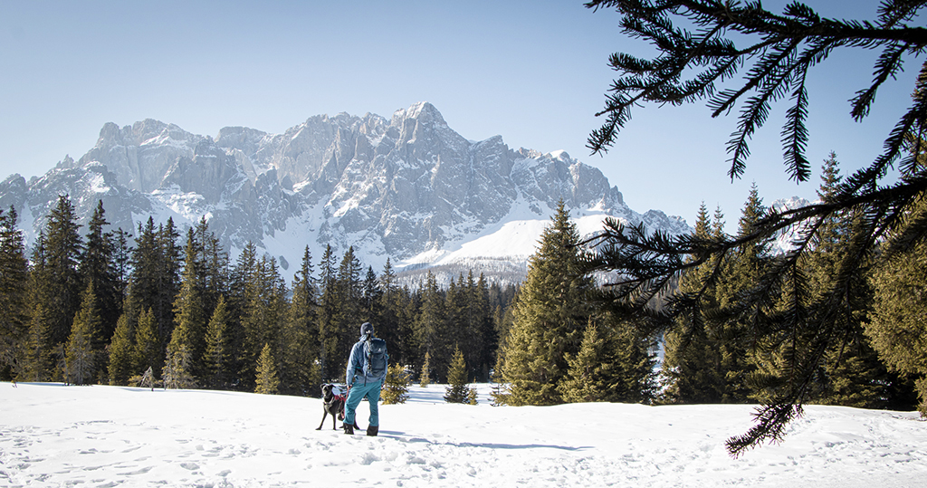 Wanderung zur Nemes Alm , Kreuzbergpass, Sexten