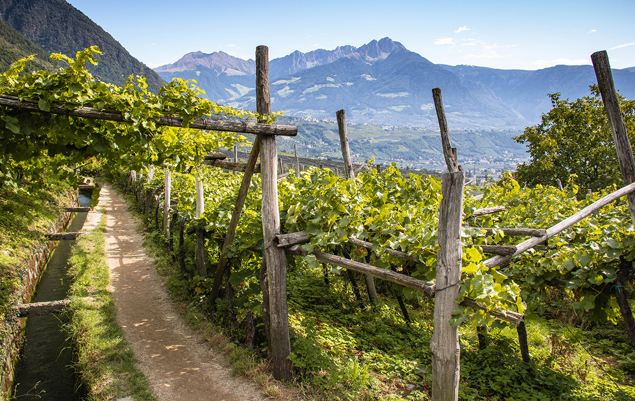 Algunder Waalweg, Waalwege in Südtirol