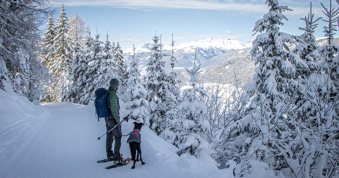 Die Naggler Alm, Weissensee, Kärnten