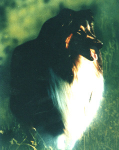 * 07.08.1990 - † 14.08.2000