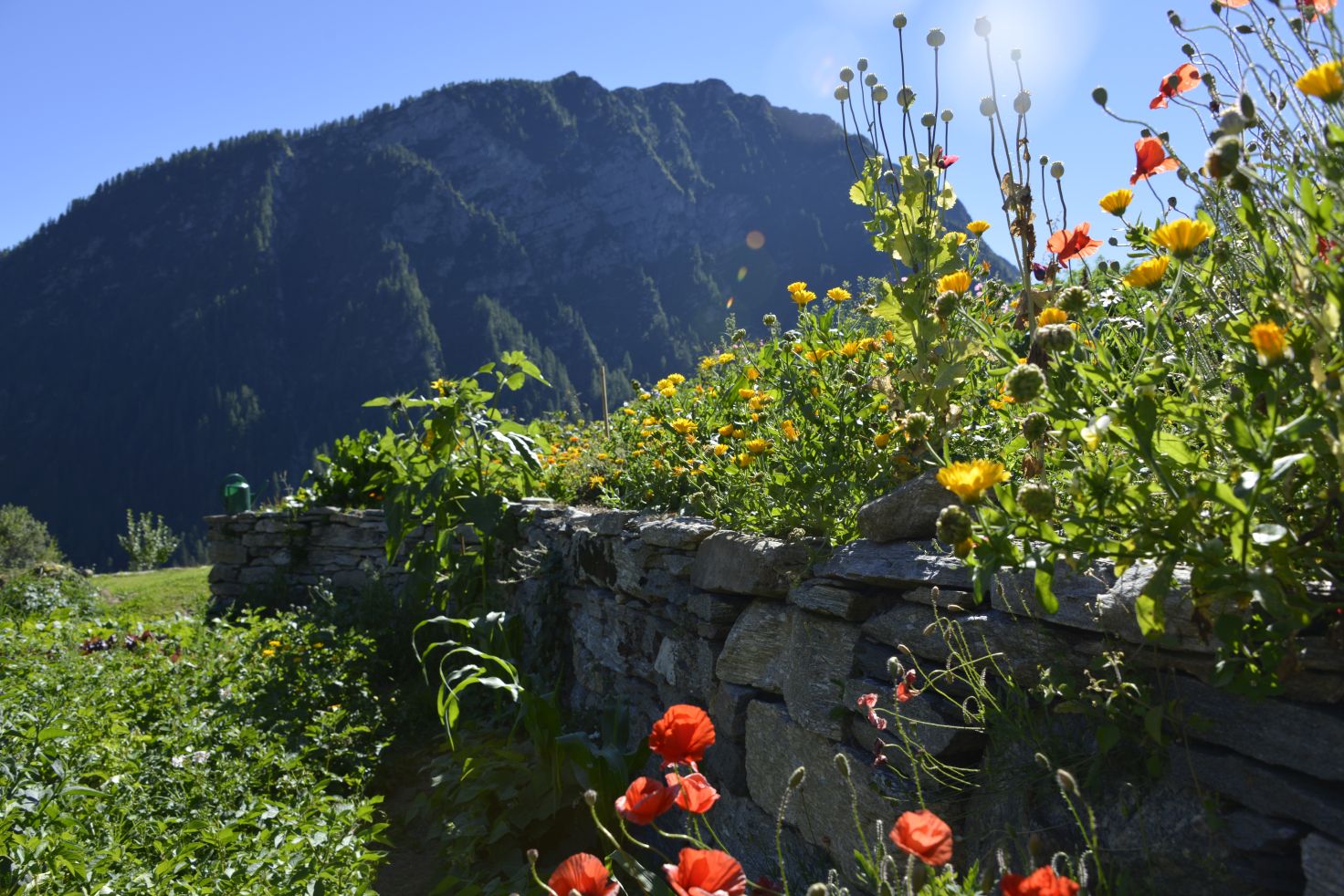 Bin im Garten - »Die Philosophie des Gärtnerns« - mairisch ...