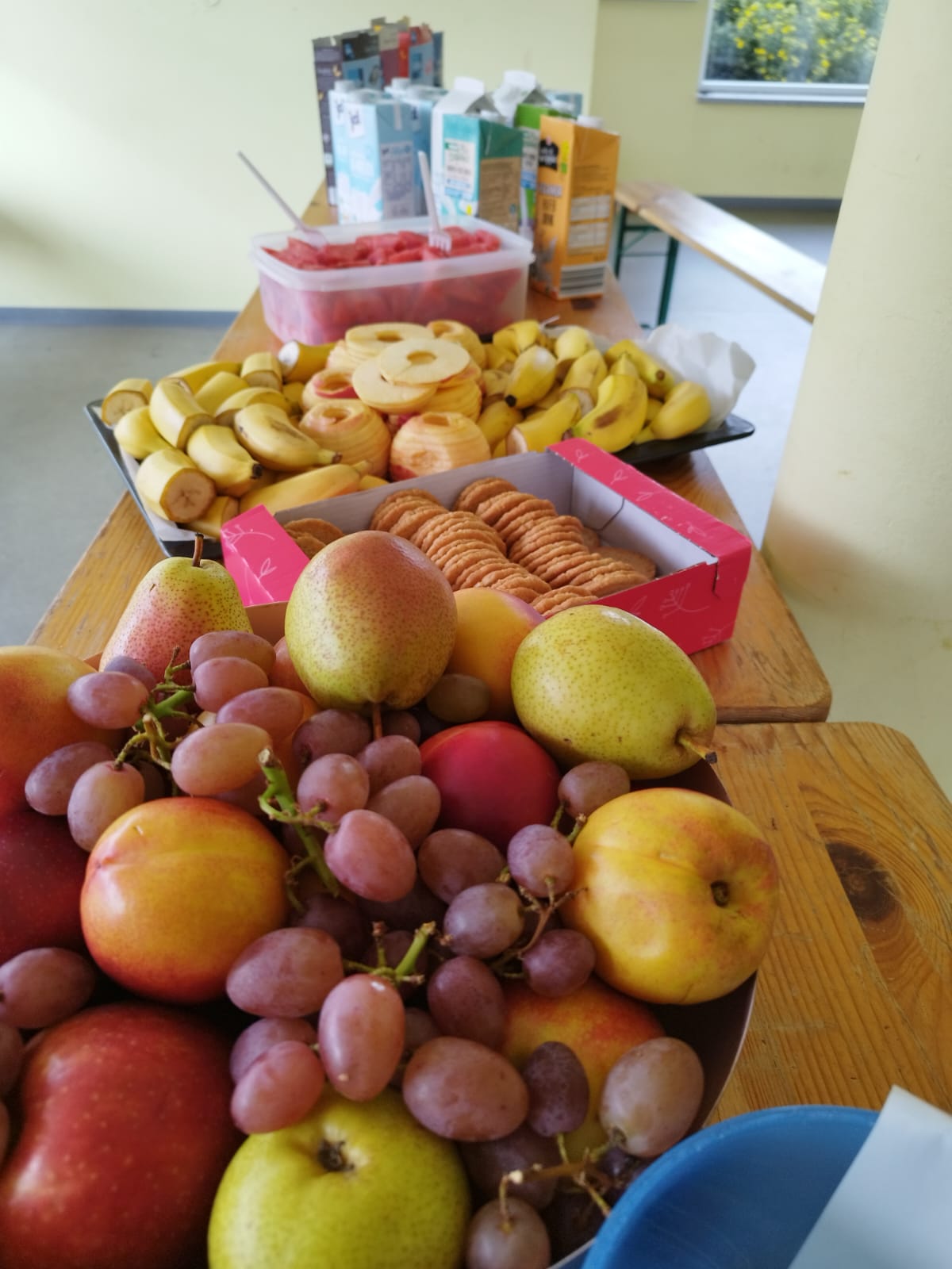 Jugendcamp 2023 MINERS Basketball in Freiberg!