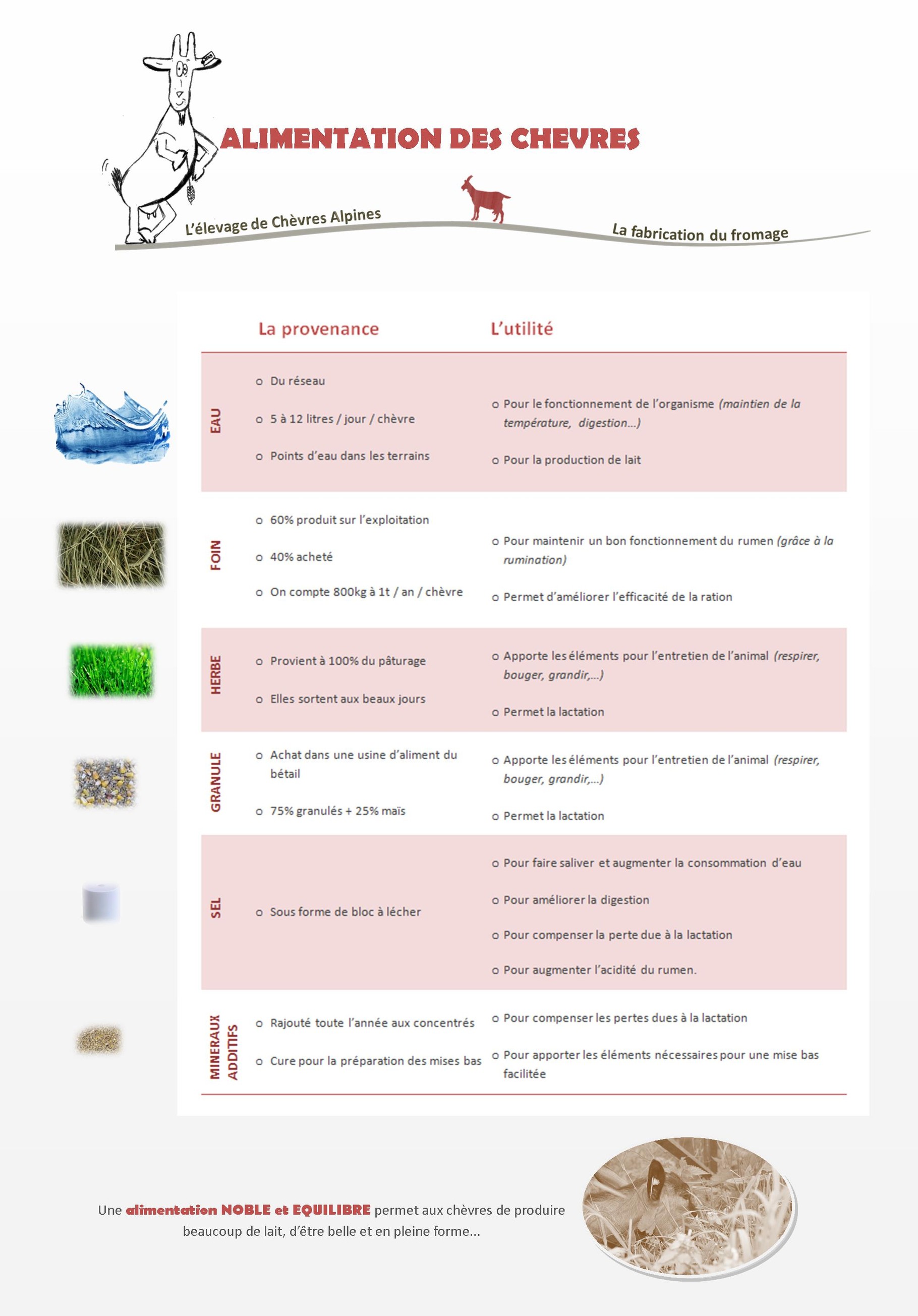 L'alimentation LES CHEVRES DE CHAZALON L'alimentation LES CHEVRES DE CHAZALON