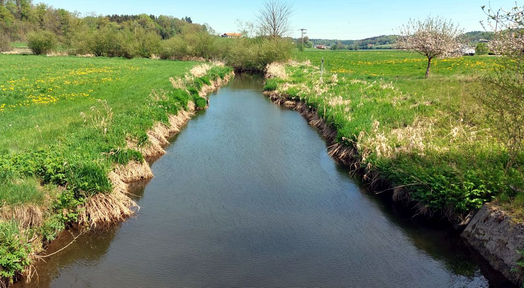 Der Nasenbach vor der Brücke der Kreisstraße RO 40
