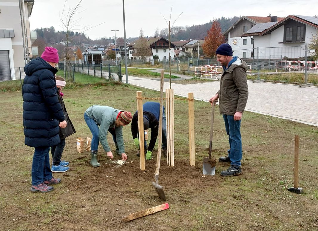 Beim Pflanzen