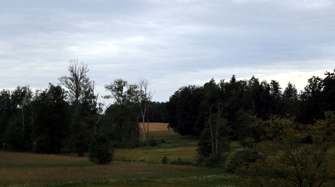 Hochmoor Weiherfilze