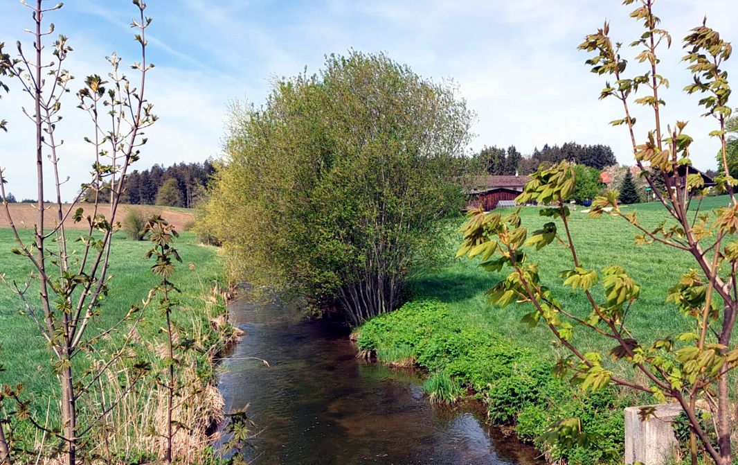 Der Nasenbach bei Schleifmühle