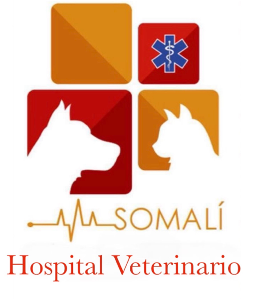 Página Jimdo de veterinariasomali