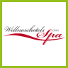 wellnesshotels-spa.com