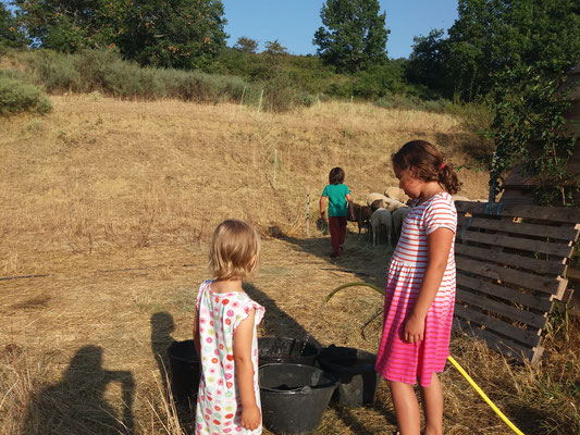 Family yoga retreats in South France