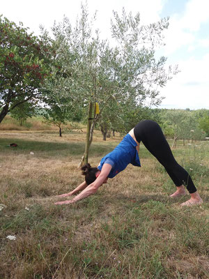 Yoga and holidays for family in South France