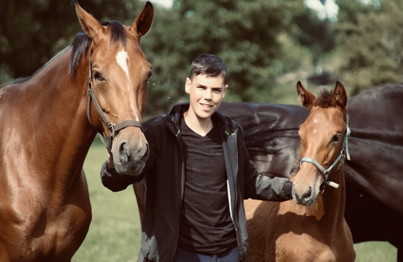 Sporthorses! 